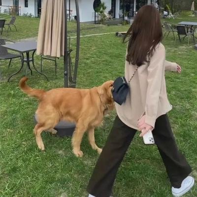 猫狗大战3:爪爪集结!